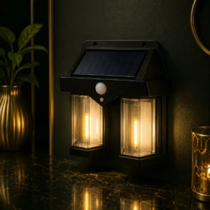 Dual Head Solar Wall Light